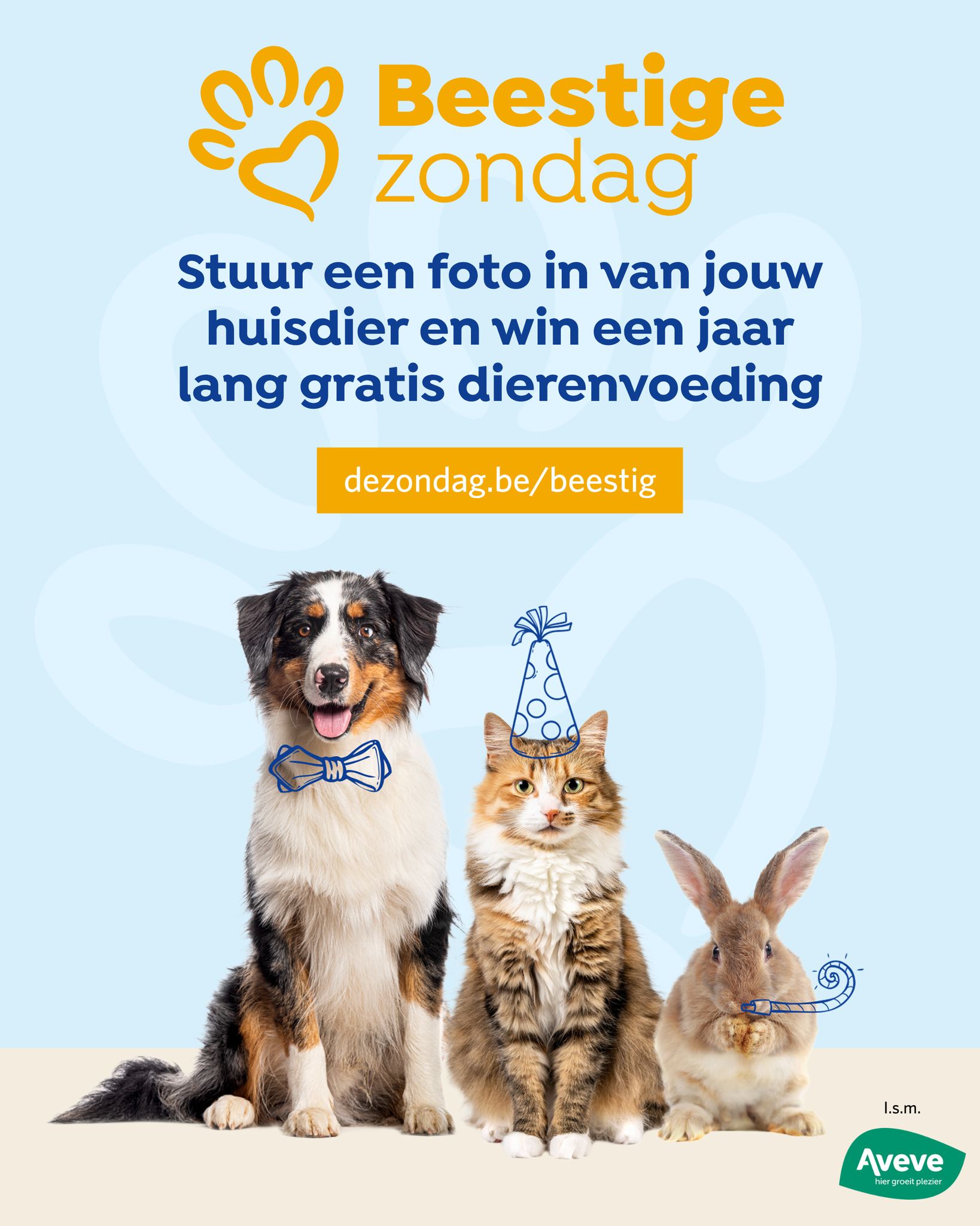 De Zondag wedstrijd Beestige Zondag