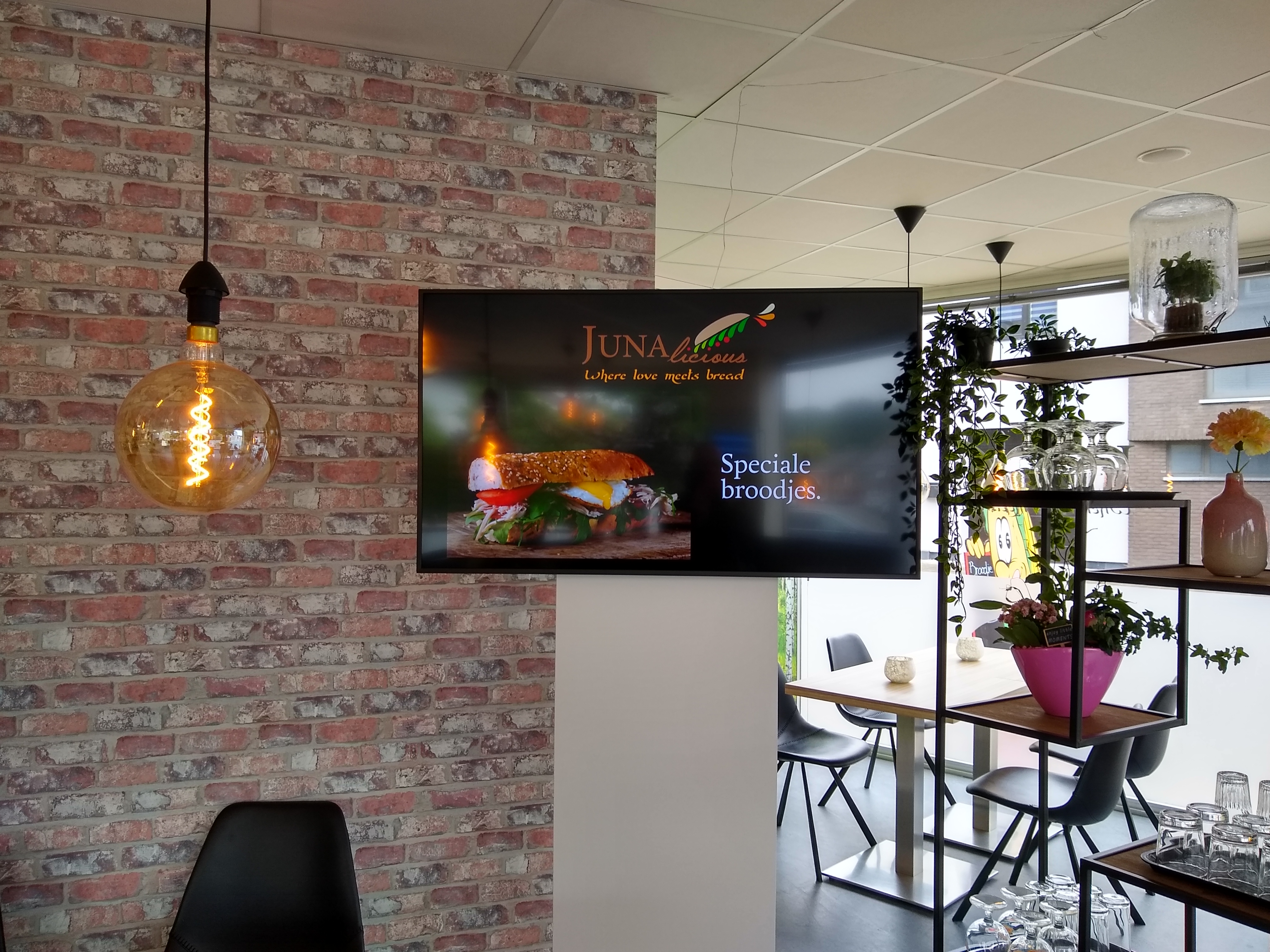 Mijn Stad TV in Junalicious, Tielt