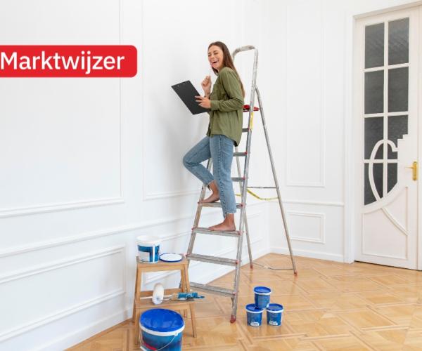 De voordelen van een renovatiepand