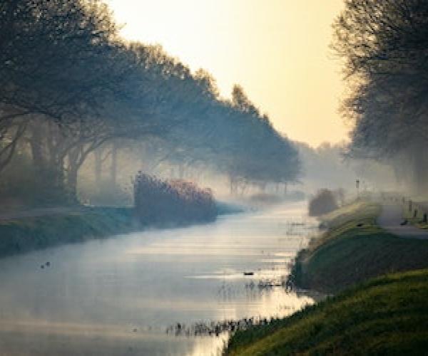 Werken in het Waasland